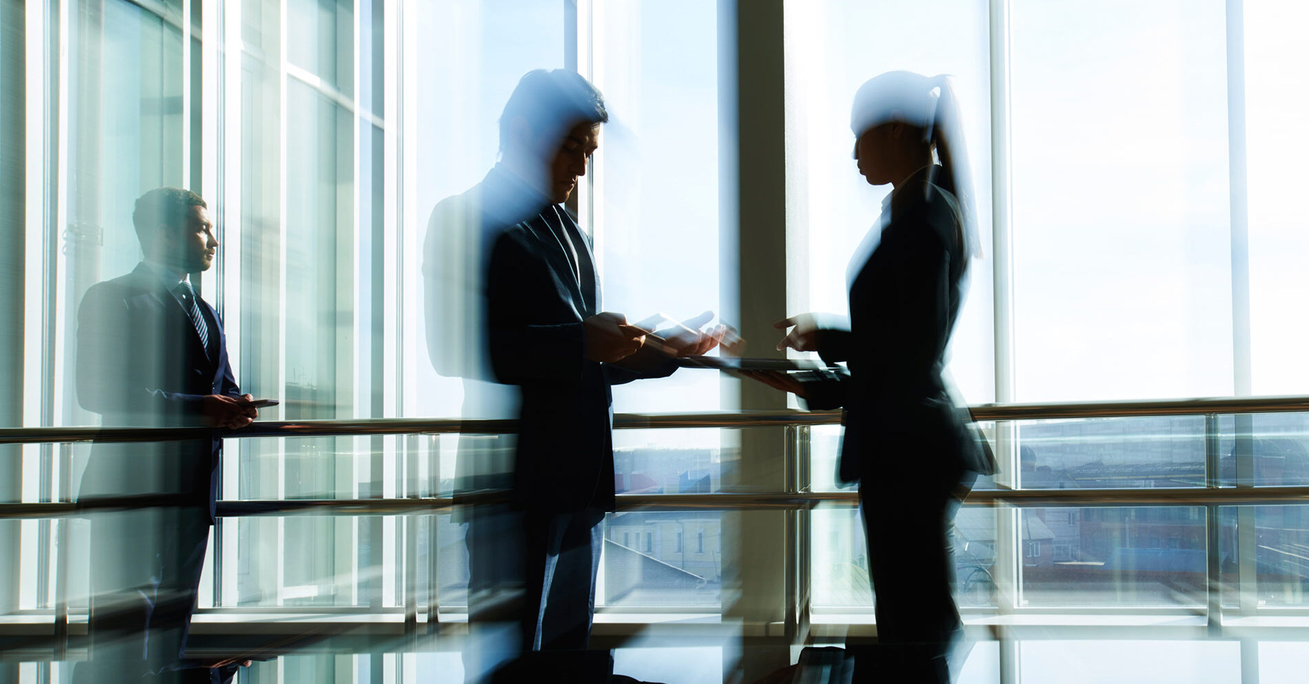 Director's Roles and Liabilities